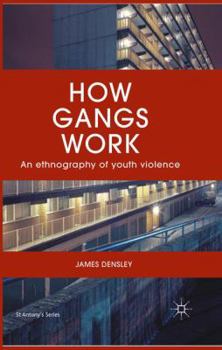 Paperback How Gangs Work: An Ethnography of Youth Violence Book