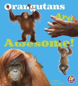 Orangutans Are Awesome! - Book  of the Awesome Asian Animals