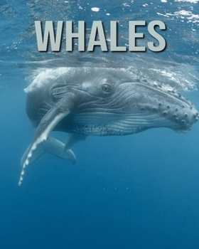 Paperback Whales: Amazing Whales Pictures Book for kids Book