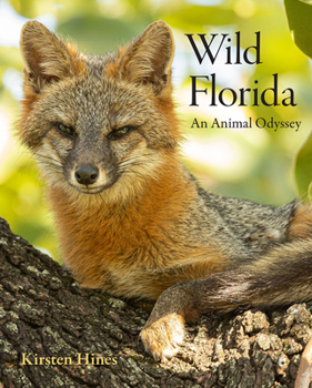 Hardcover Wild Florida: An Animal Odyssey Book