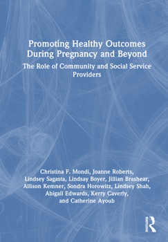 Hardcover Promoting Healthy Outcomes During Pregnancy and Beyond: The Role of Community and Social Service Providers Book