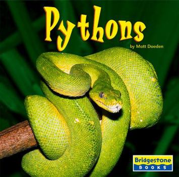 Library Binding Pythons Book