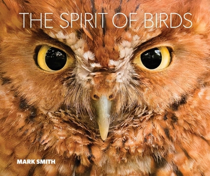 Hardcover The Spirit of Birds Book