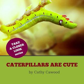 Paperback Caterpillars Are Cute Book