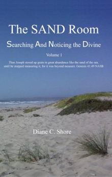 Paperback The SAND Room Vol. 1: Searching And Noticing the Divine Book