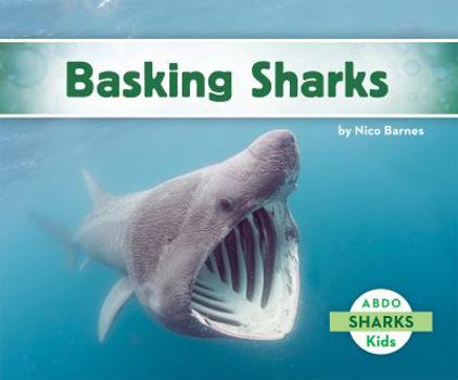 Library Binding Basking Sharks Book