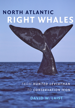 Hardcover North Atlantic Right Whales: From Hunted Leviathan to Conservation Icon Book