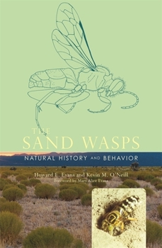 Hardcover The Sand Wasps: Natural History and Behavior Book