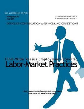 Paperback Firm-Wide Versus Employment-Specific Labor-Market Practices Book