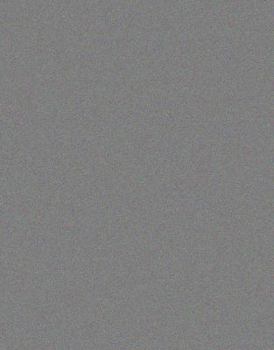 Library Binding Chinchilla Book