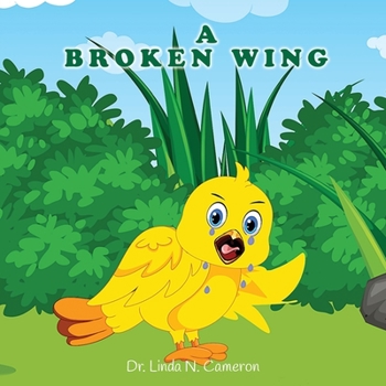 Paperback A Broken Wing Book