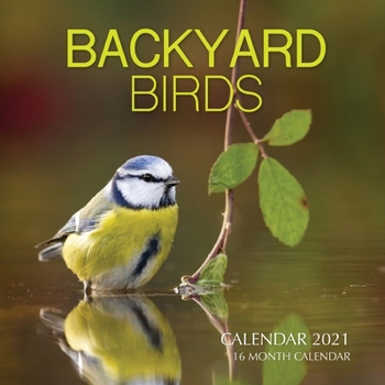 Paperback Backyard Birds Calendar 2021: 16 Month Calendar Book