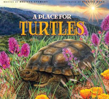 Hardcover A Place for Turtles Book