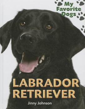 Library Binding Labrador Retriever Book