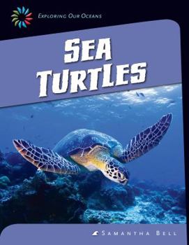 Library Binding Sea Turtles Book