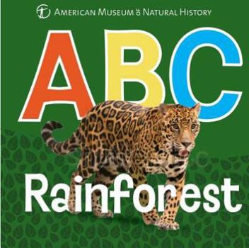 Board book ABC Rainforest Book