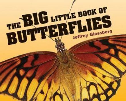 Paperback The Big Little Book of Butterflies Book