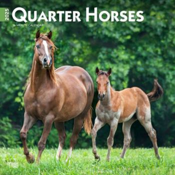Calendar Quarter Horses 2025 12 X 24 Inch Monthly Square Wall Calendar Plastic-Free Book