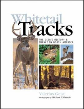 Hardcover Whitetail Tracks: The Deer's History & Impact in North America Book