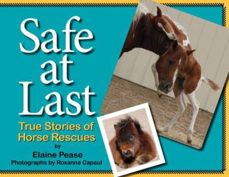 Paperback Safe at Last: True Stories of Horse Rescues Book