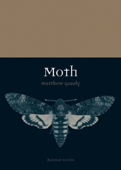 Moth - Book  of the Animal Series