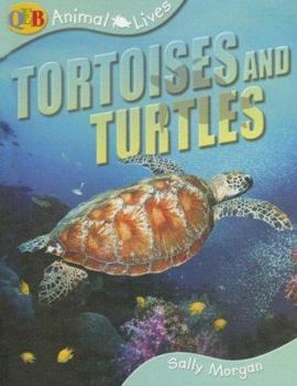 Hardcover Animal Lives Tortoises and Turtles (Qeb Animal Lives) Book