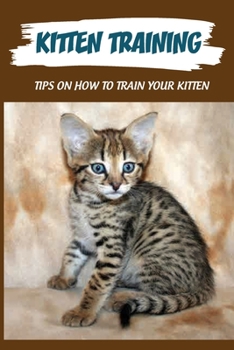 Paperback Kitten Training: Tips On How To Train Your Kitten: At What Age Can You Start Training A Kitten? Book
