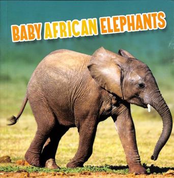 Baby African Elephants (Baby Animals)
