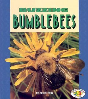 Library Binding Buzzing Bumblebees Book