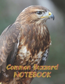 Paperback Common Buzzard NOTEBOOK: Notebooks and Journals 110 pages (8.5"x11") Book