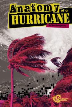 Paperback Anatomy of a Hurricane Book