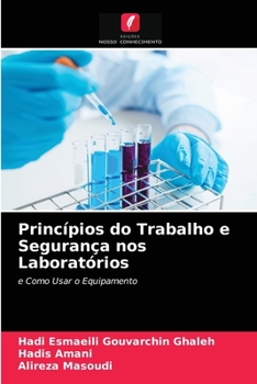 Paperback Princípios do Trabalho e Segurança nos Laboratórios [Portuguese] Book