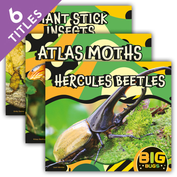 Library Binding Big Bugs (Set) Book