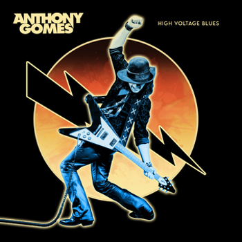 Vinyl High Voltage Blues Book