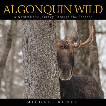 Paperback Algonquin Wild: A Naturalist's Journey Through the Seasons Book