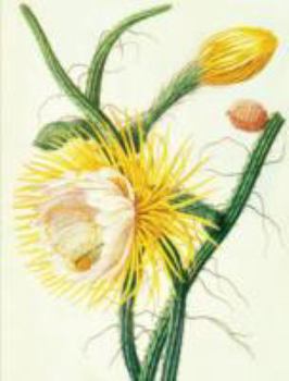 Journal : Queen of the Night