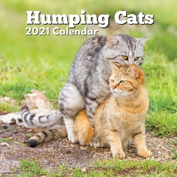 Paperback Funny Cat Lover Gift: Humping Cats 2021 Calendar for Women Men Book