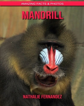 Mandrill: Amazing Facts & Photos