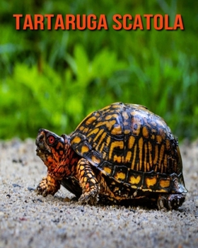 Paperback Tartaruga scatola: Fantastici fatti e immagini [Italian] Book