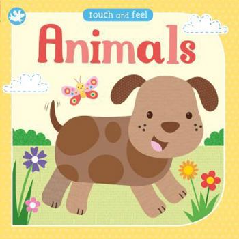 Board book Animals Book