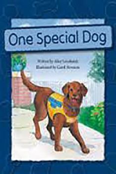 Paperback Steck-Vaughn Pair-It Books Proficiency Stage 6: Individual Student Edition One Special Dog Book