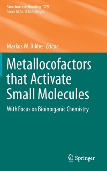Hardcover Metallocofactors That Activate Small Molecules: With Focus on Bioinorganic Chemistry Book