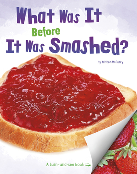 Paperback What Was It Before It Was Smashed? Book