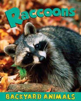 Raccoons - Book  of the Backyard Animals