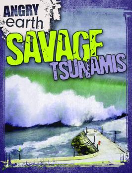 Library Binding Savage Tsunamis Book