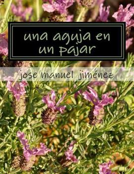Paperback Una aguja en un pajar [Spanish] Book