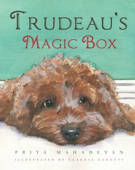 Paperback Trudeau’s Magic Box Book