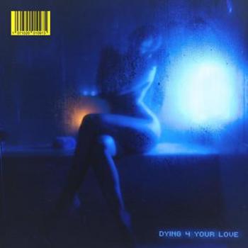 Vinyl Dying 4 Your Love Book