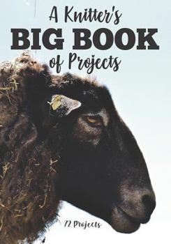 Paperback A Knitter's Big Book of Projects: 72 Projects Book