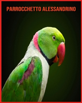 Paperback Parrocchetto Alessandrino: Fatti di apprendimento divertenti sui Parrocchetto Alessandrino [Italian] Book
